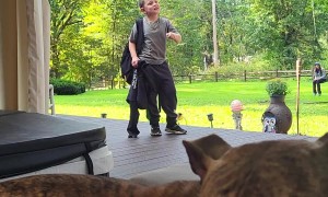 New Bulldog Named Boss