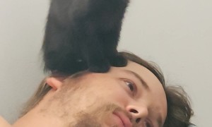 Yes This Is A Perfectly Legitimate Chair