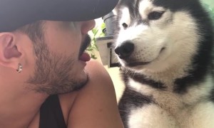 What Did You Say Human?