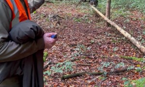 Untangling A Deer From Ropes