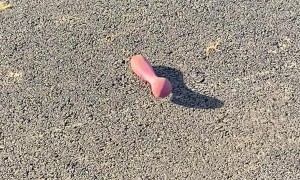 Sons Encounter A Toy That Is Not For Dogs