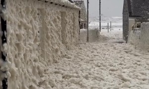 Sudsy Sea Foam Swamps Cape Town Shores