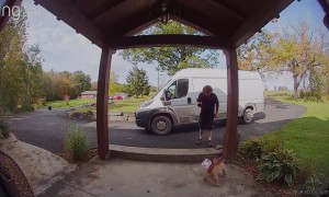 Frenchie Doesn't Like Deliveries
