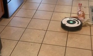 Doll Had A Rough Night