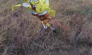 Cartoon Character Balloon Bamboozles Golden Retriever