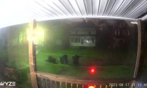 Doorbell Watches As Wind Blows Trampoline Away