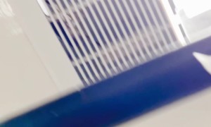 Tarantula In The Shower Vents