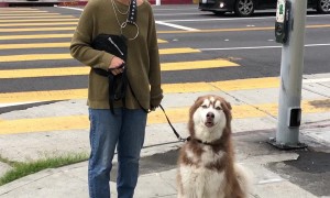 Mufasa Wants To See Dad So Bad