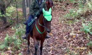 Little Twinkle Toes Was All Fired Up for the Trail Ride