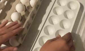 Egg Carton Kitchen Hack