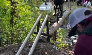 BMX Riders Attempt Challenging Log Ride