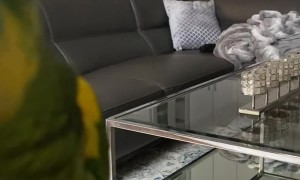 One of These Is Not Like the Others