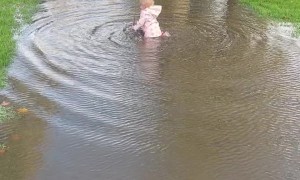 Daughter Gives Dad a Hard Time at Puddle