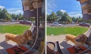 The little bark to let him in