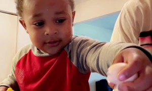 Nephew Follows Egg Cracking Instructions
