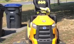 Batdad On His Bat Heavy Machinery