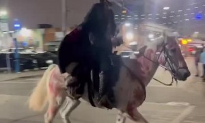 This Halloween costume is beyond insane 