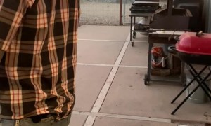 A Tarantula Hitchhiker