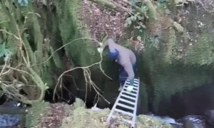 Lamb Rescued From Deep Ravine
