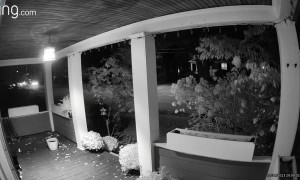 Seniors Treat Themselves On Halloween Night