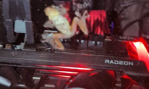 Dusty Frog Found In PC