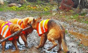 Socially Awkward But Happy To Be Invited