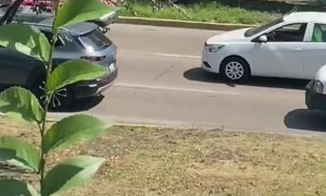 Pup Leads The Parade