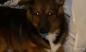 Don't Forget Who The Real Baby Is