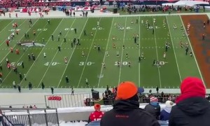 Buried In The Stands