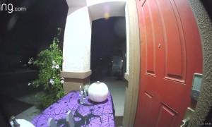 Candy Bandit Takes Whole Bowl