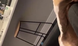 Forty Winks After Long Day Of Work