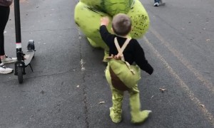 There's Always A Bigger Dinosaur