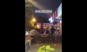Horse walks into a bar in Dallas