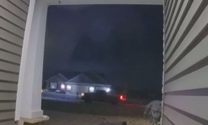 Cany Knappers Shamelessly Steal Candy Bucket