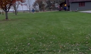 Woman Rescues Doe With Jug Stuck on Her Head