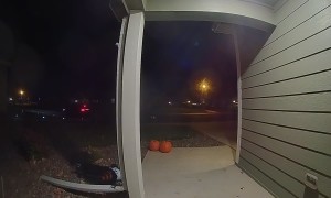 Adult Allegedly Steals Halloween Candy