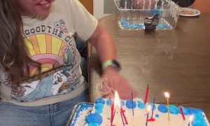 Trick Candles Light Up Woman's Hair