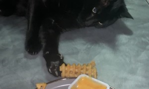 If He Takes The Fry Slowly Maybe It Won't Be Noticed