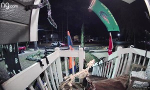 Adult Appears to Steal Whole Bucket of Candy From Porch