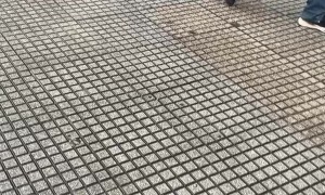 Man Leaves Work to Find Car Crushed By Fallen Tree