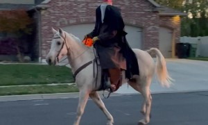 Headless Horseman Goes for a Neighborhood Stroll