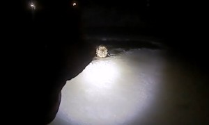 Police officer rescues dog that fell through ice