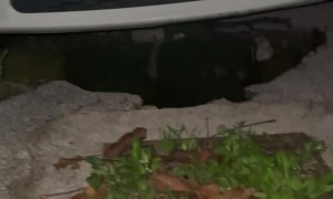 Car Drives Over Large Hole In Ground