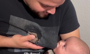 Dad Is The Mother Now