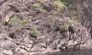 Woman Falls While Attempting Rope Swing