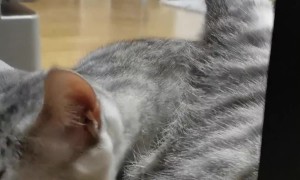 Getting Hydrated With Style