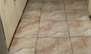 Toddler Scared of Singing Cactus