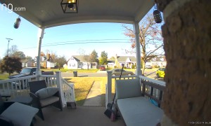 Mailman Lets One Rip During Delivery