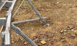 Bear Encounter on a Roller Coaster