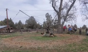 At-Home Carnival Ride